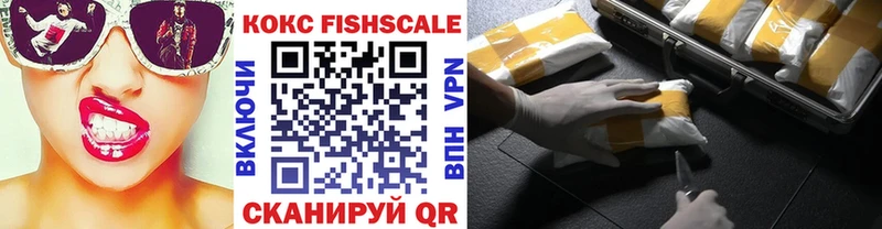 Купить закладки  Николаевск-на-Амуре  COCAIN VHQ 