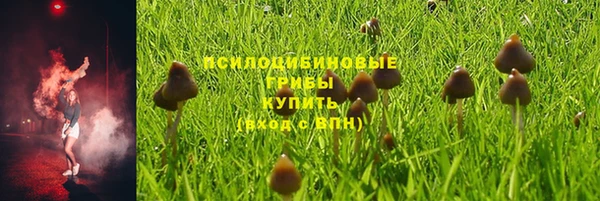 экстази Каменногорск