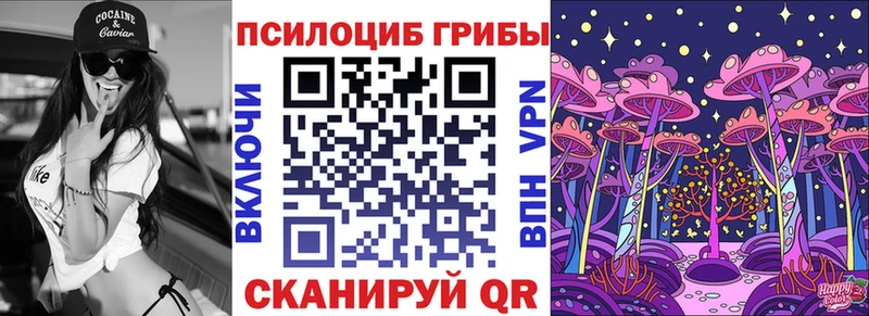 Купить  Николаевск-на-Амуре  Псилоцибиновые грибы GOLDEN TEACHER 